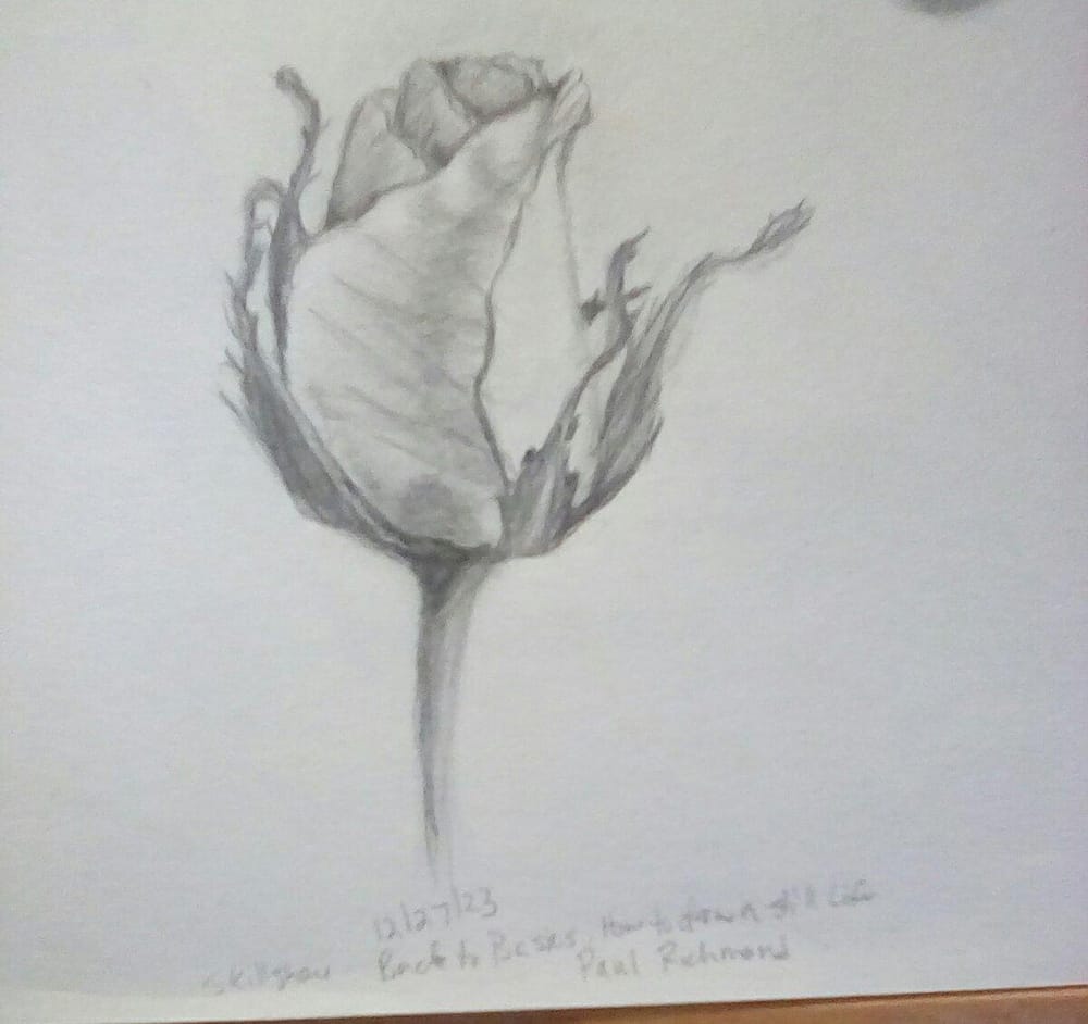 Pears and rose - image 1 - student project