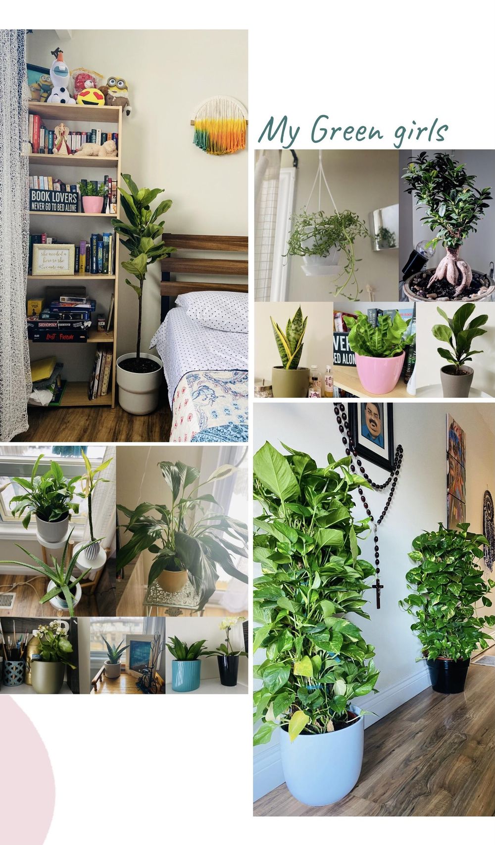 Proud Plant Mom - image 1 - student project
