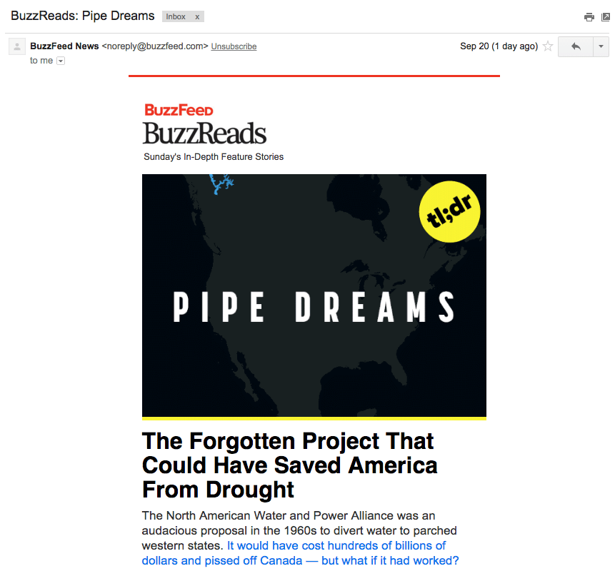 The Newsletter I Didn't Read - image 1 - student project