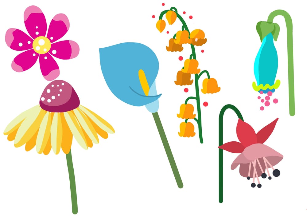 My flower arrangement - image 2 - student project