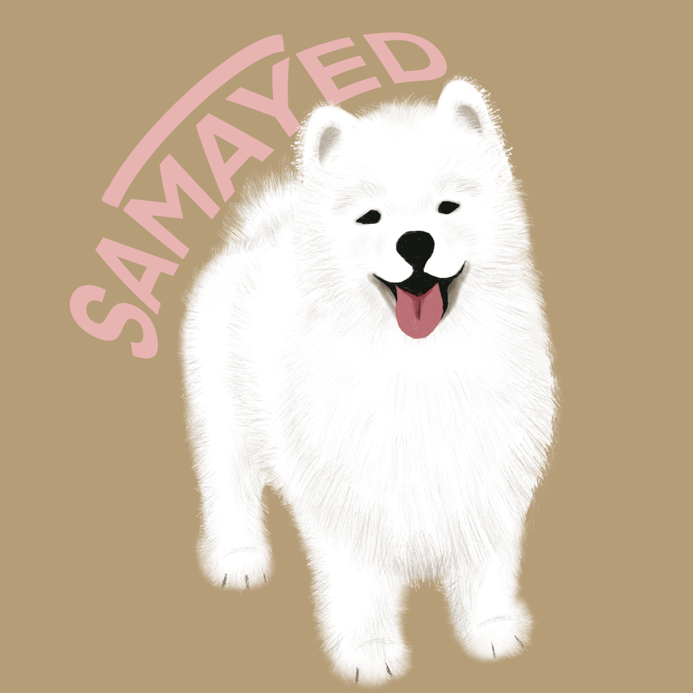Daily Doodle - image 1 - student project