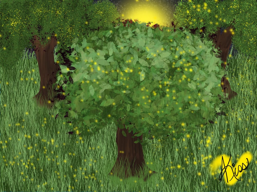 Firefly Forests - image 1 - student project