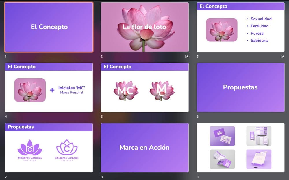MC Obstetra - image 1 - student project