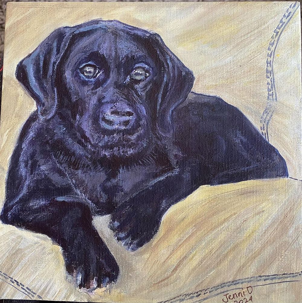 Black Dog - image 1 - student project