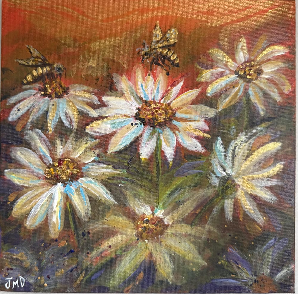 Daisies at sunset - image 1 - student project