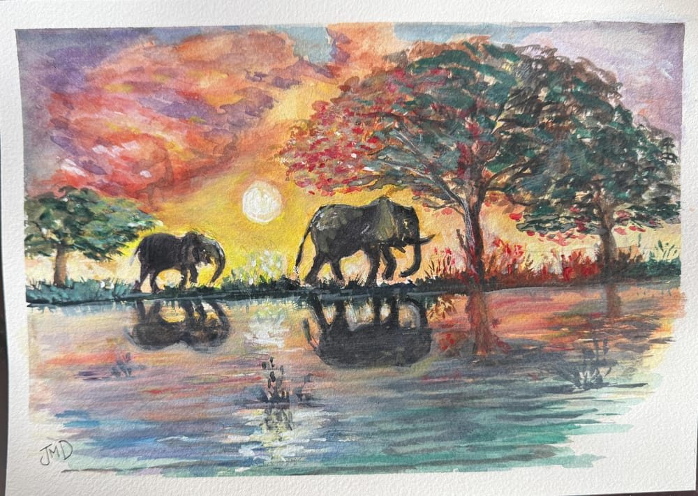 Elephants at sunset - image 1 - student project