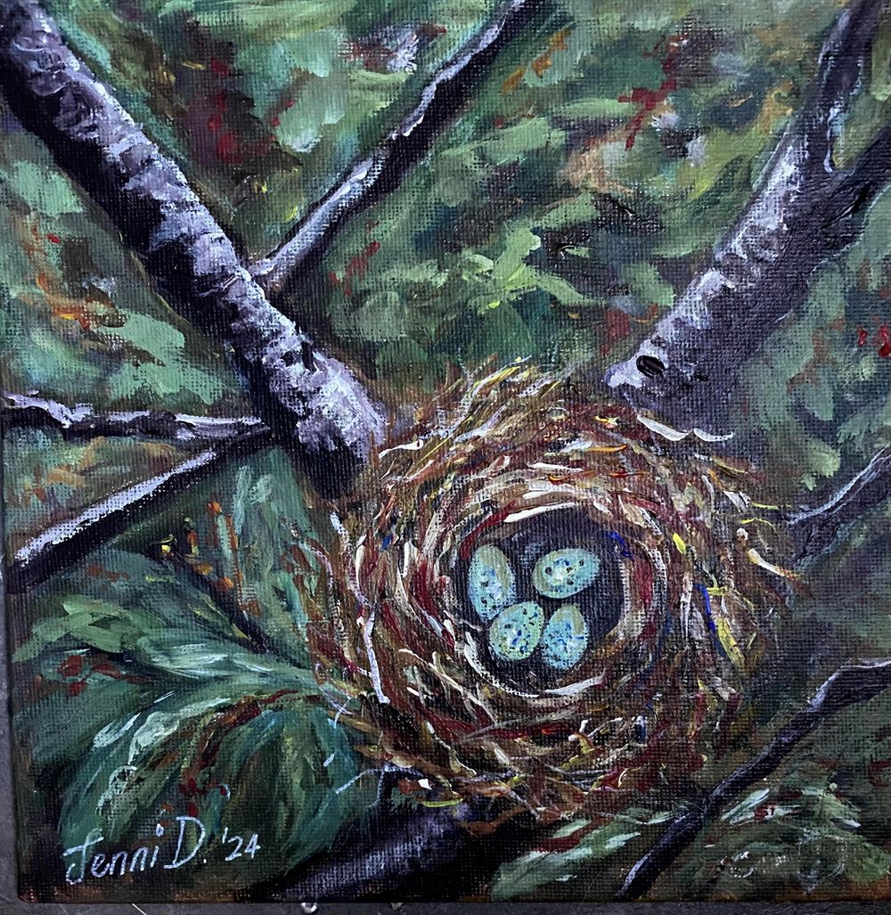 blue eggs in nest - image 1 - student project
