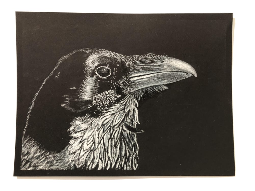 Leroy the Crow - image 1 - student project