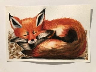 Sleepy Fox - image 2 - student project