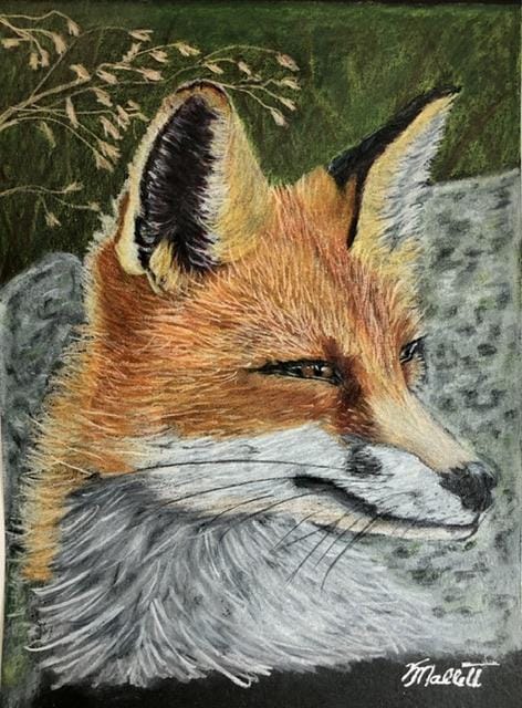Fox by the Rocks - image 1 - student project