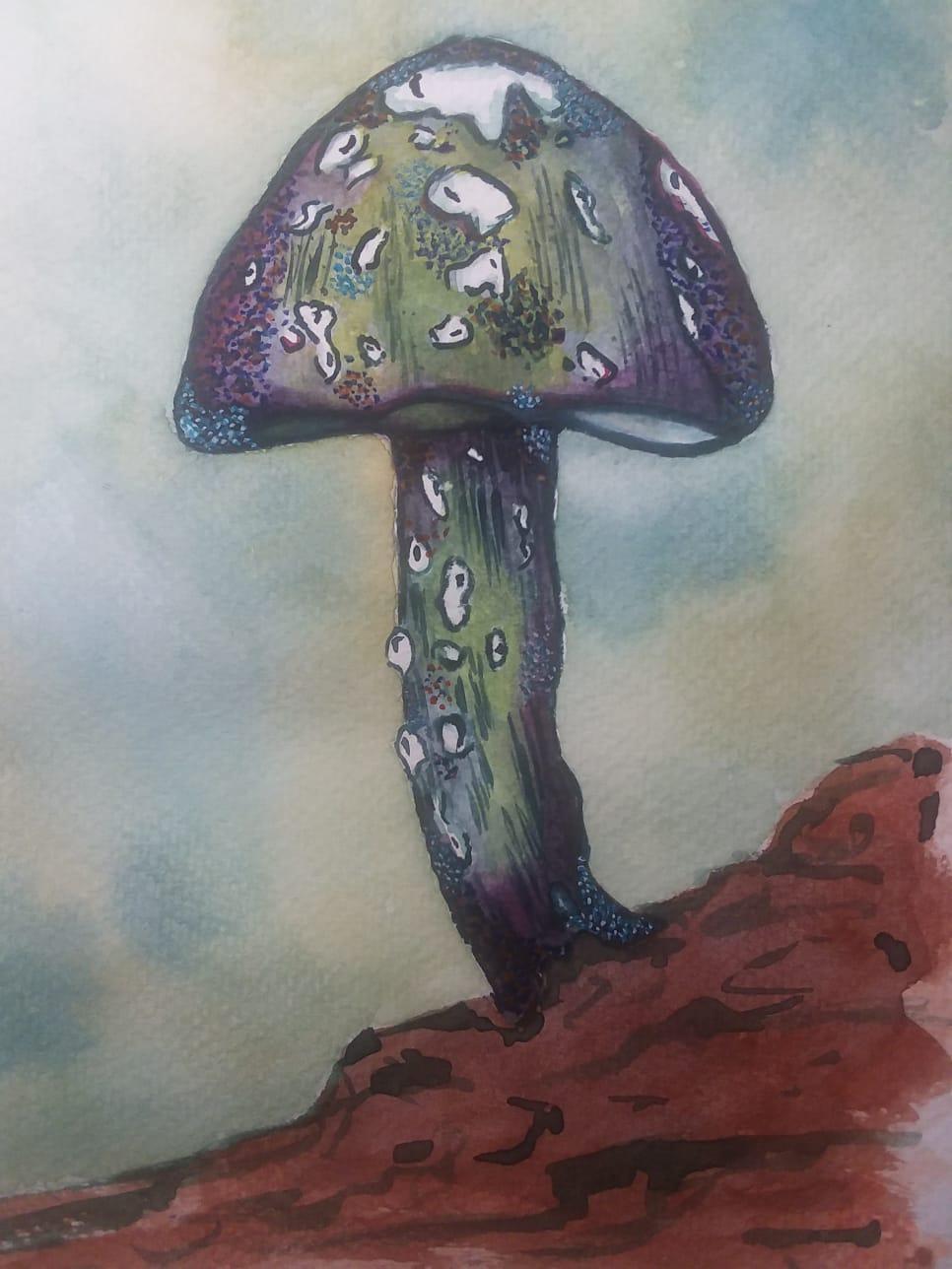 Mushroom watercolor practice - image 1 - student project