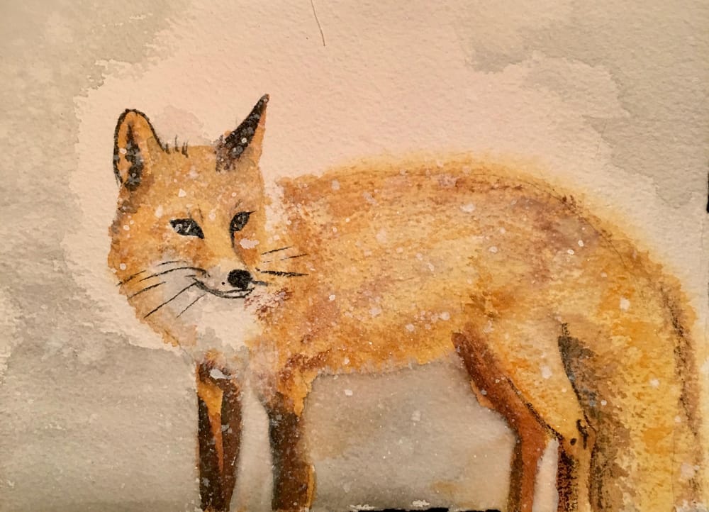 Fluffy Foxes - image 2 - student project