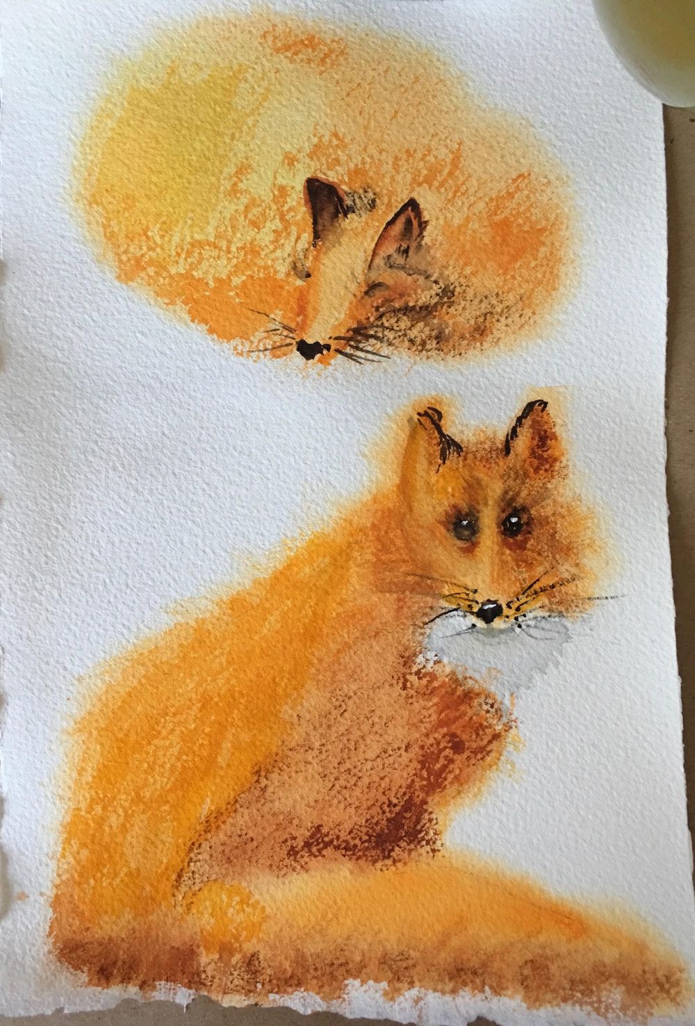 Fluffy Foxes - image 1 - student project