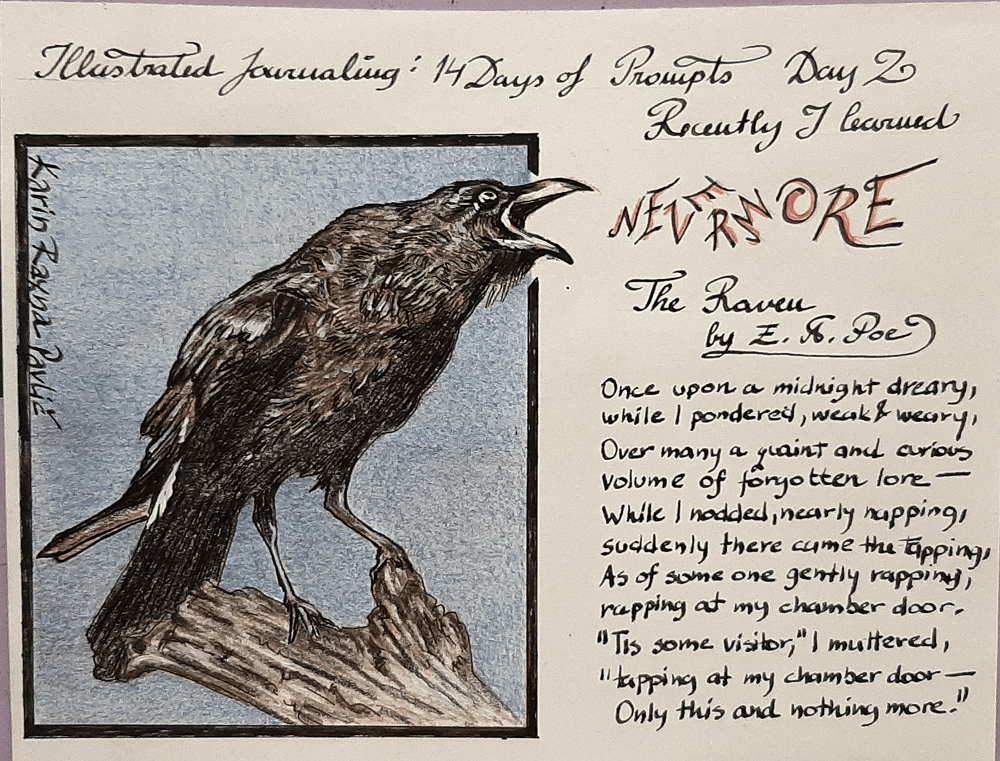 Illustrated Journaling - 14 Days of Prompts with Dylan Mierzwinski - image 5 - student project