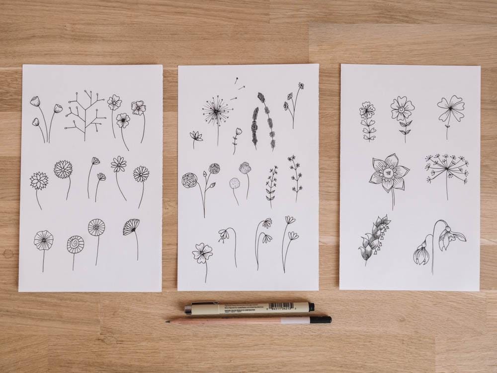 Botanic flowers - image 1 - student project
