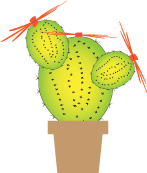 Cacti Project - image 4 - student project