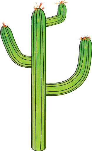 Cacti Project - image 1 - student project