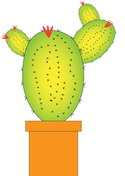 Cacti Project - image 3 - student project