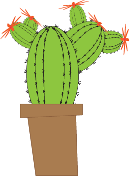 Cacti Project - image 2 - student project