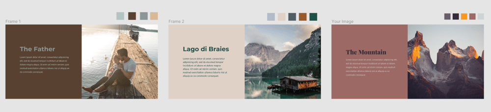 Class Assignments - image 6 - student project