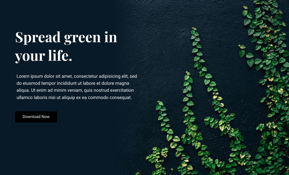 Class Assignments - image 11 - student project