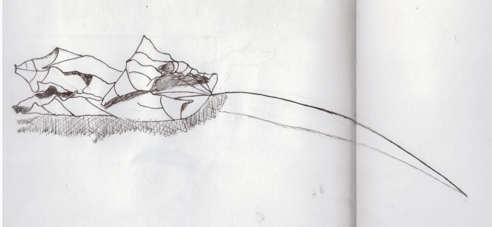 Lines - image 1 - student project