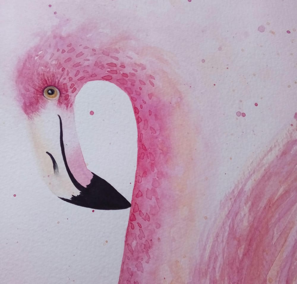 Fun & Fabulous Flamingo - image 4 - student project