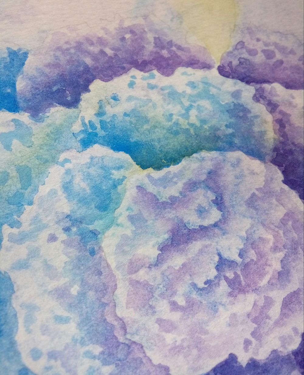 Dreamy Hydrangeas - image 5 - student project