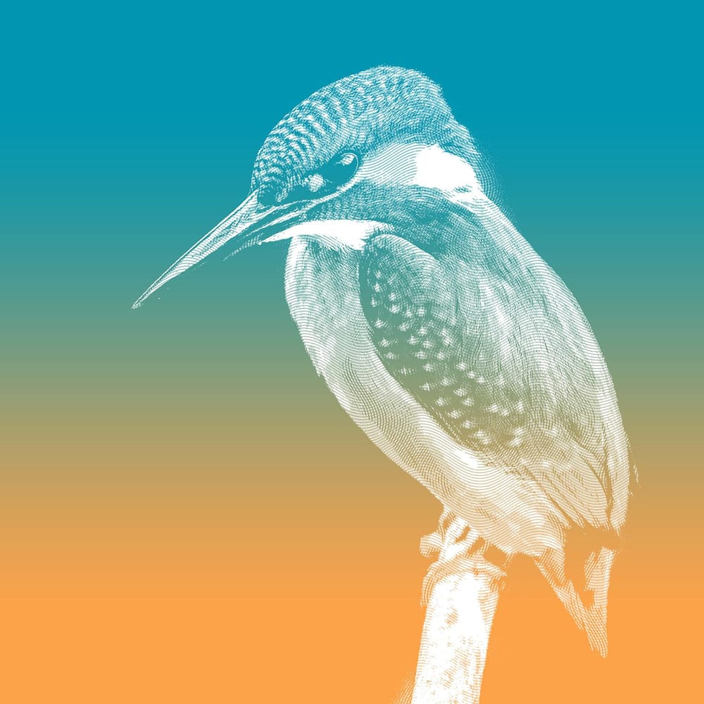 Martin - image 3 - student project