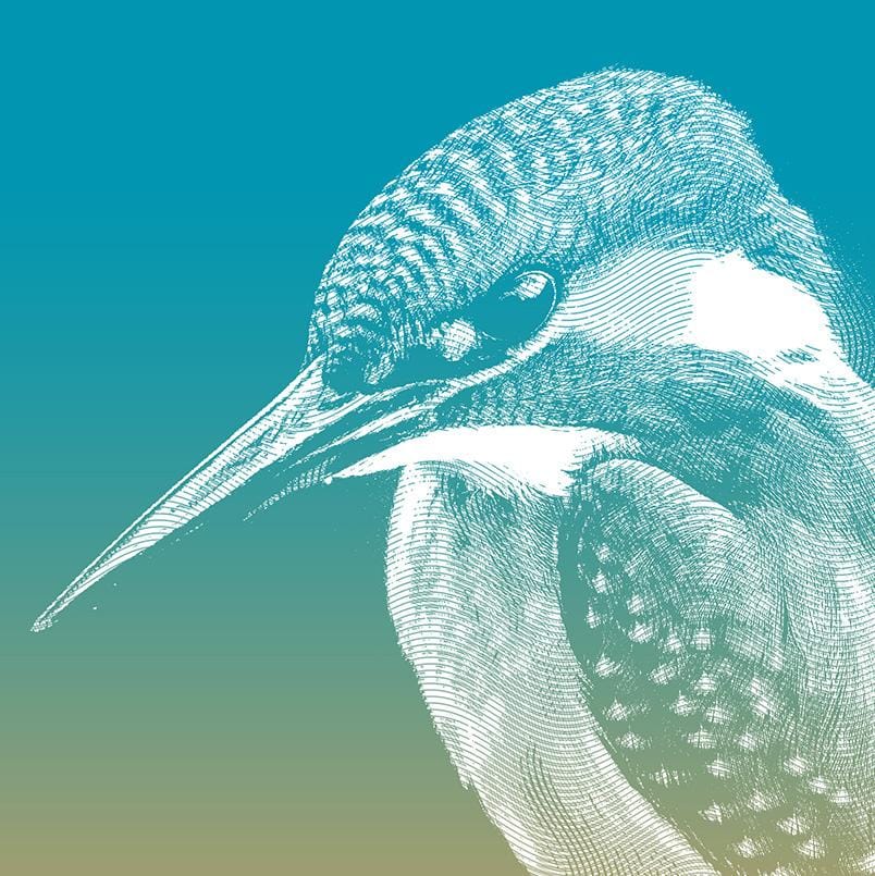 Martin - image 2 - student project