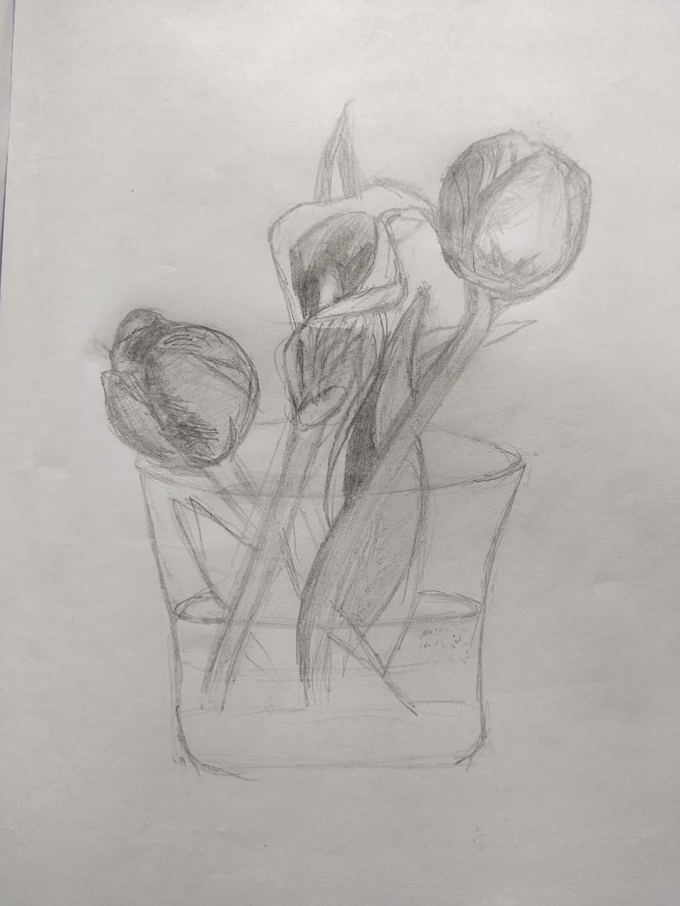 Basic Skills - image 1 - student project