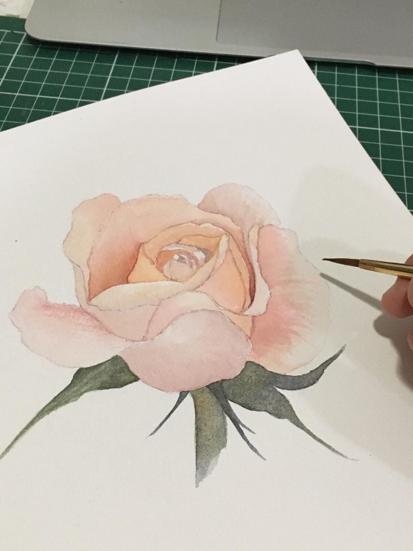 Watercolour Rose - image 2 - student project