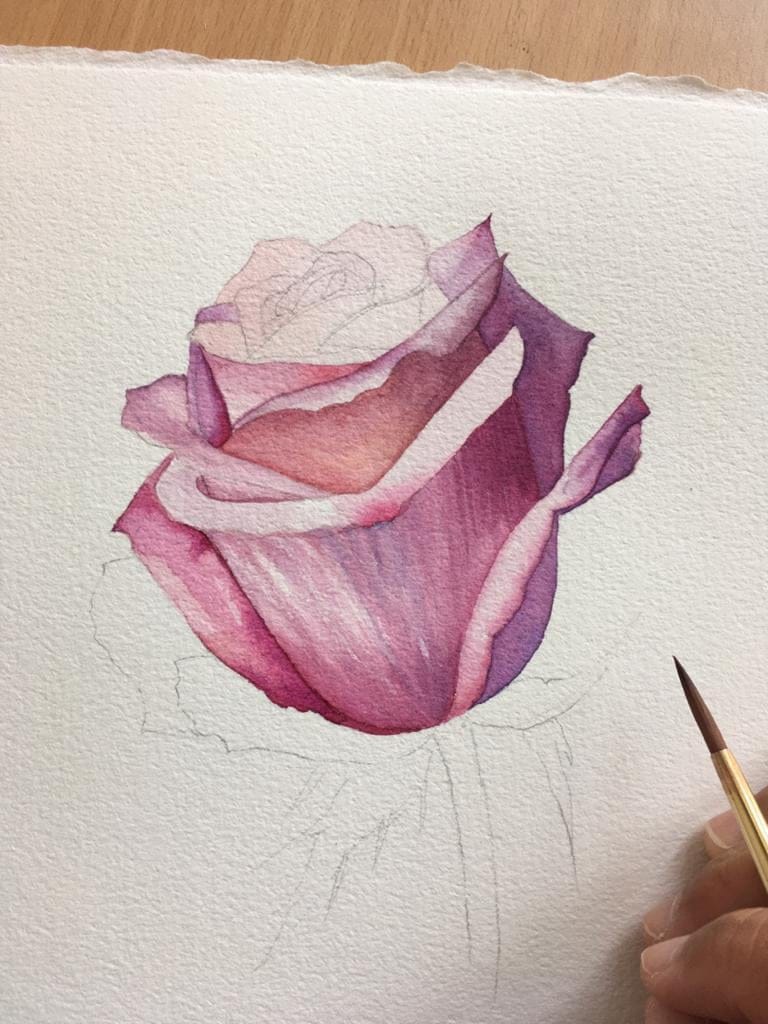 Watercolour Rose - image 6 - student project