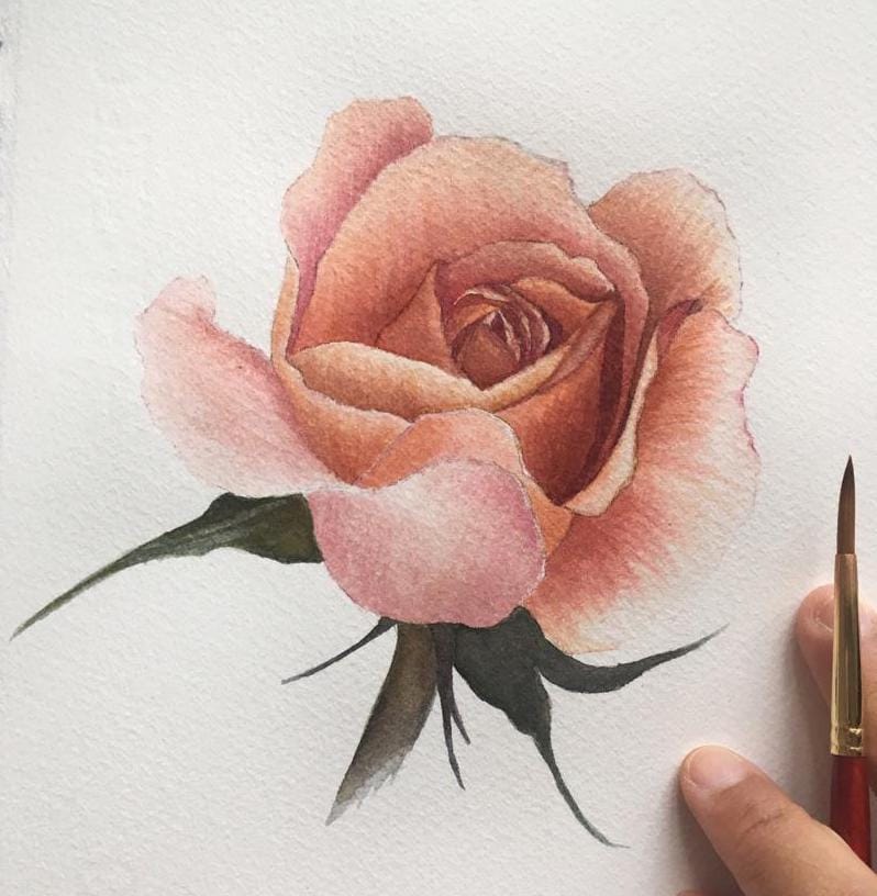 Watercolour Rose - image 3 - student project