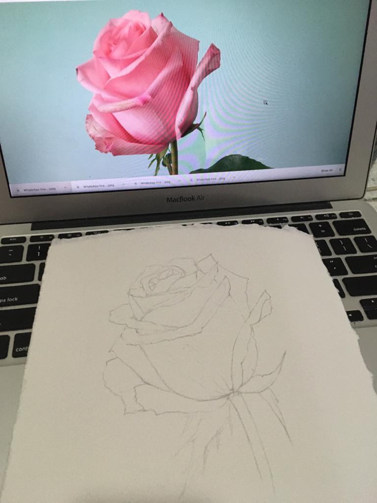 Watercolour Rose - image 4 - student project
