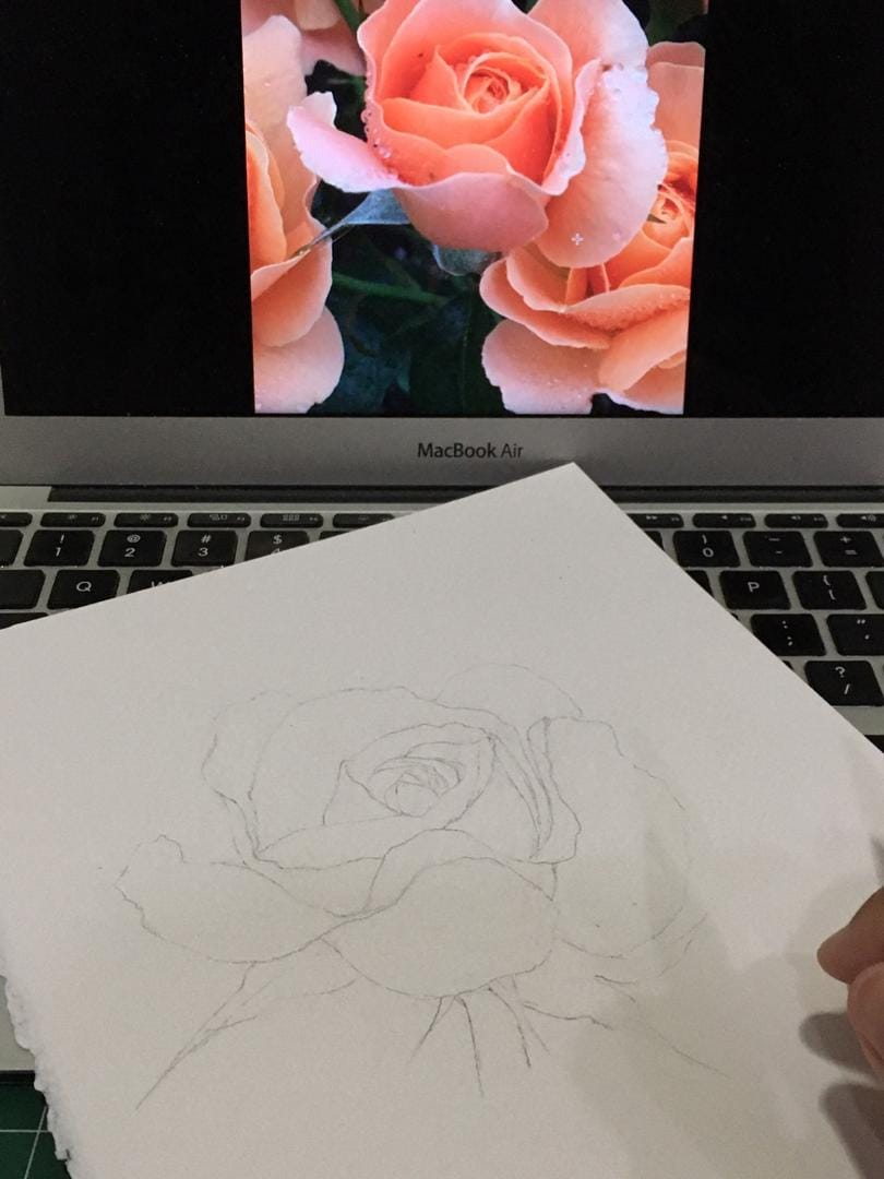 Watercolour Rose - image 1 - student project