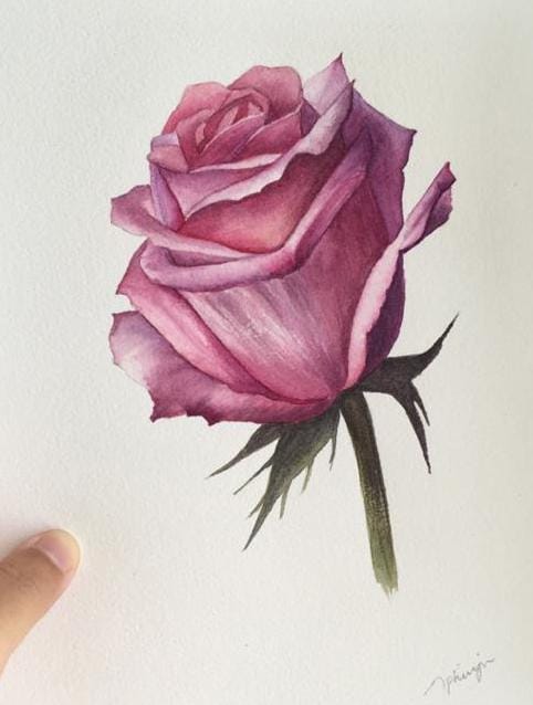 Watercolour Rose - image 7 - student project