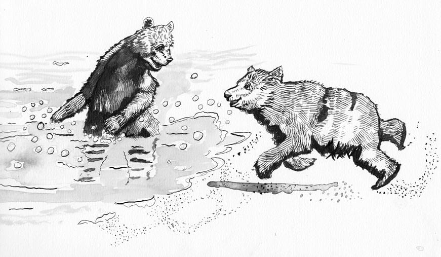 Bears playing - image 5 - student project