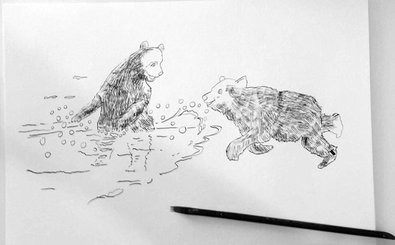 Bears playing - image 3 - student project