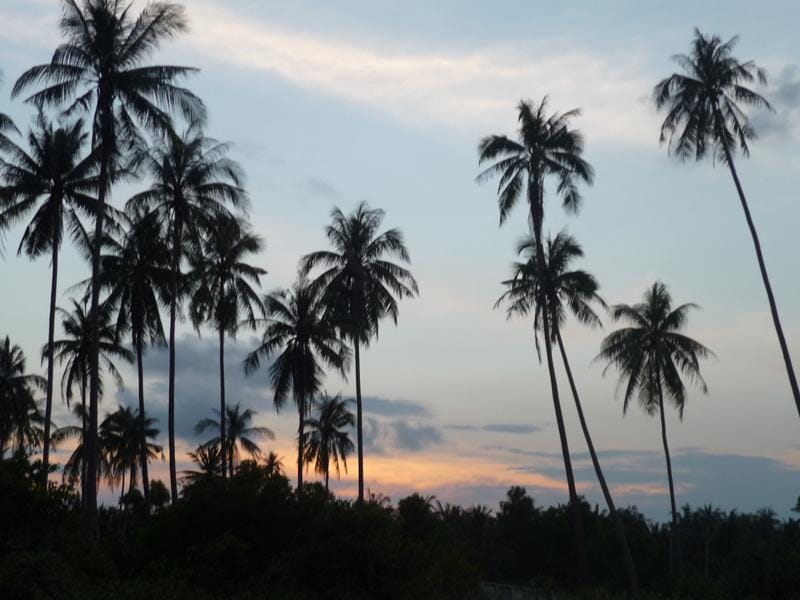 Greetings from the islands - image 1 - student project