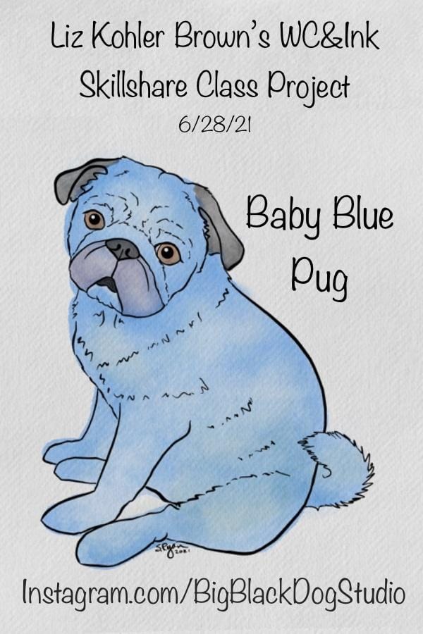 BigBlackDogStudio: Baby Blue Pug - image 1 - student project