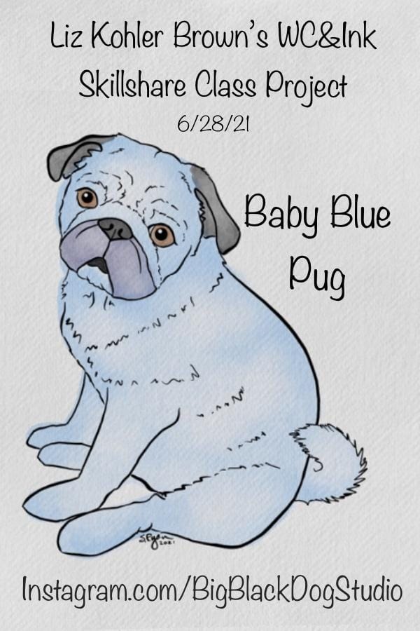 BigBlackDogStudio: Baby Blue Pug - image 2 - student project