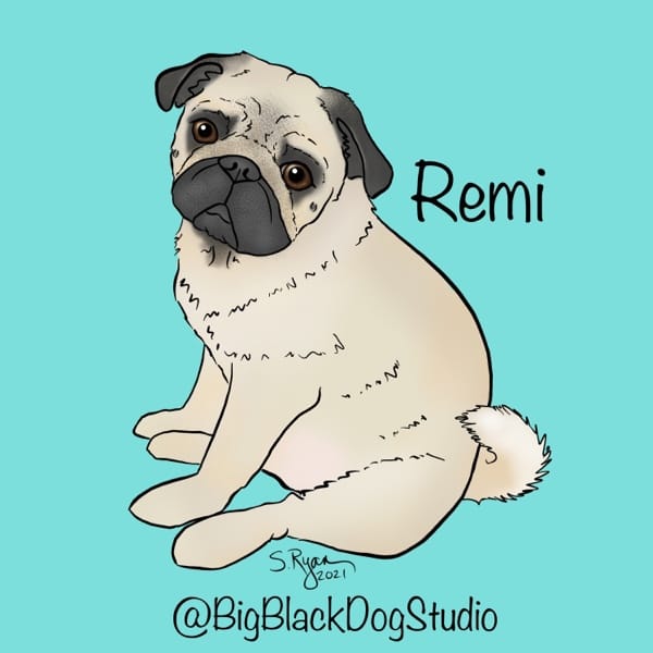 BigBlackDogStudio: Baby Blue Pug - image 3 - student project