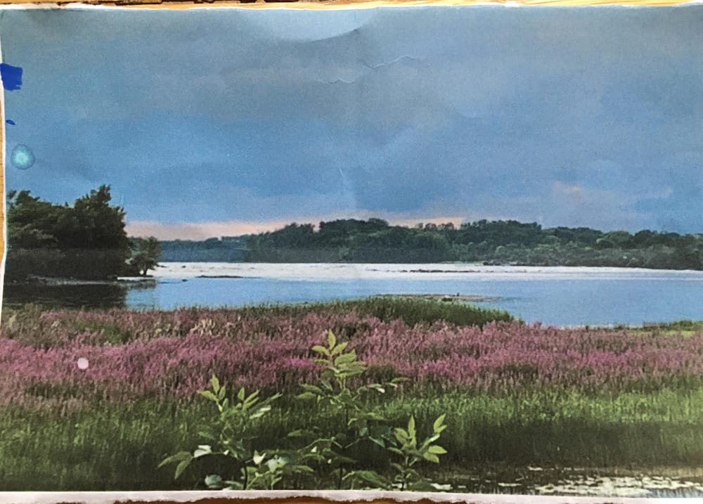 River Marsh - image 1 - student project