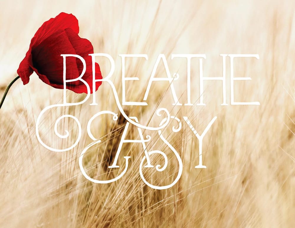 Breath Easy - image 1 - student project