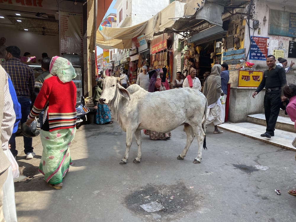 Creating an India Photo Story - image 1 - student project