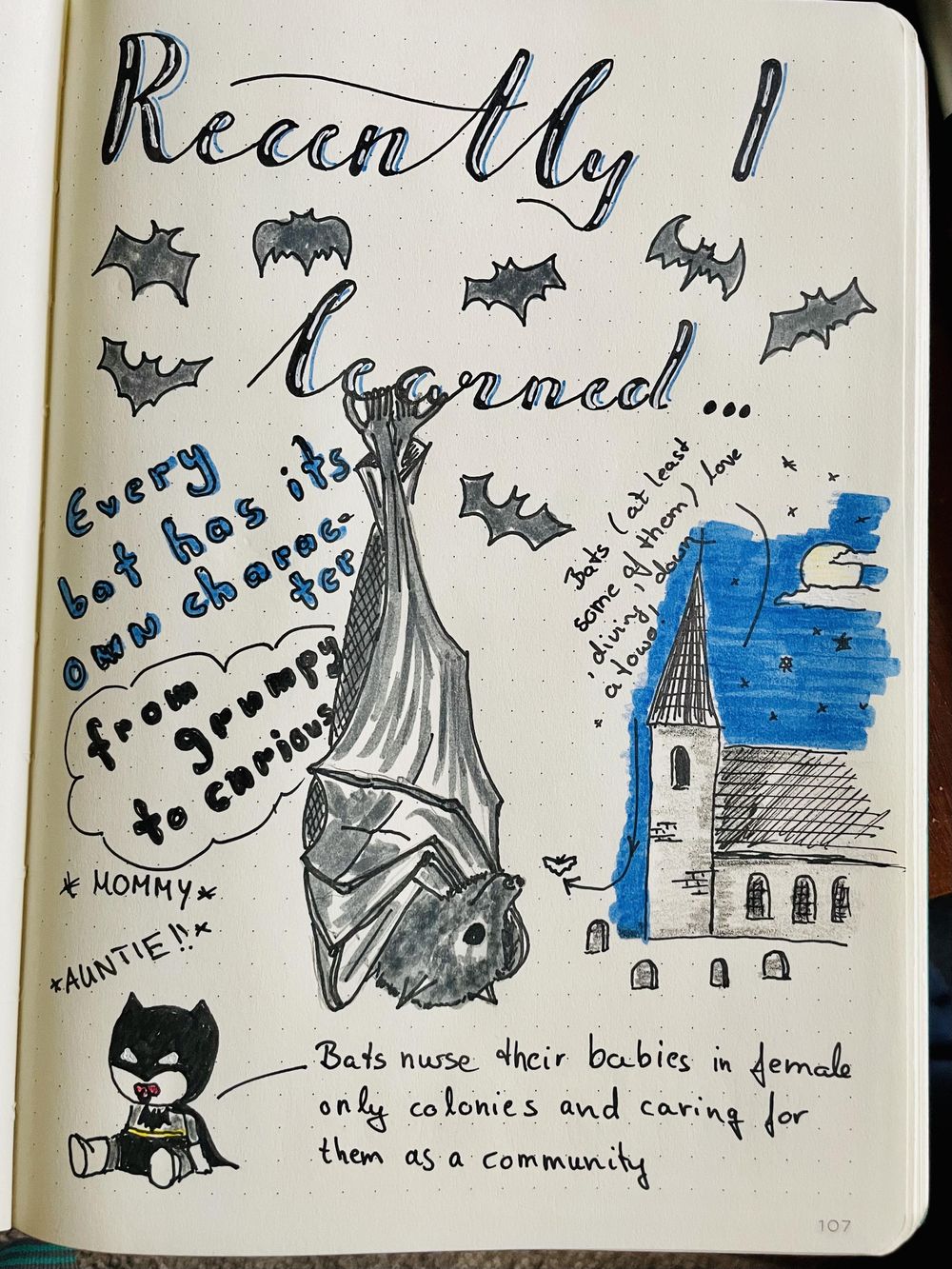 Day 1 to 14 - in progress - image 2 - student project