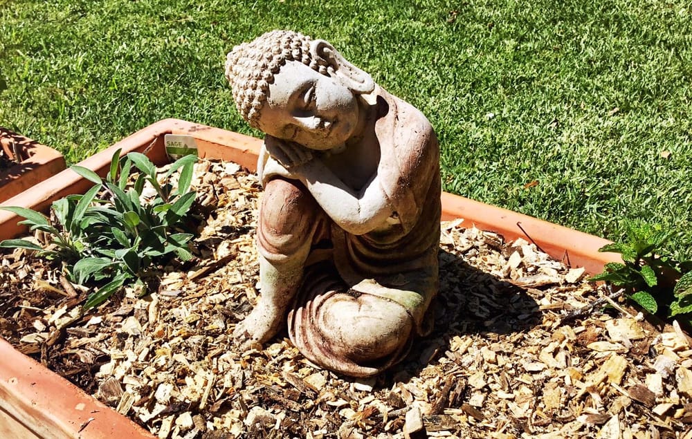 365 Days Of Gardening - image 1 - student project