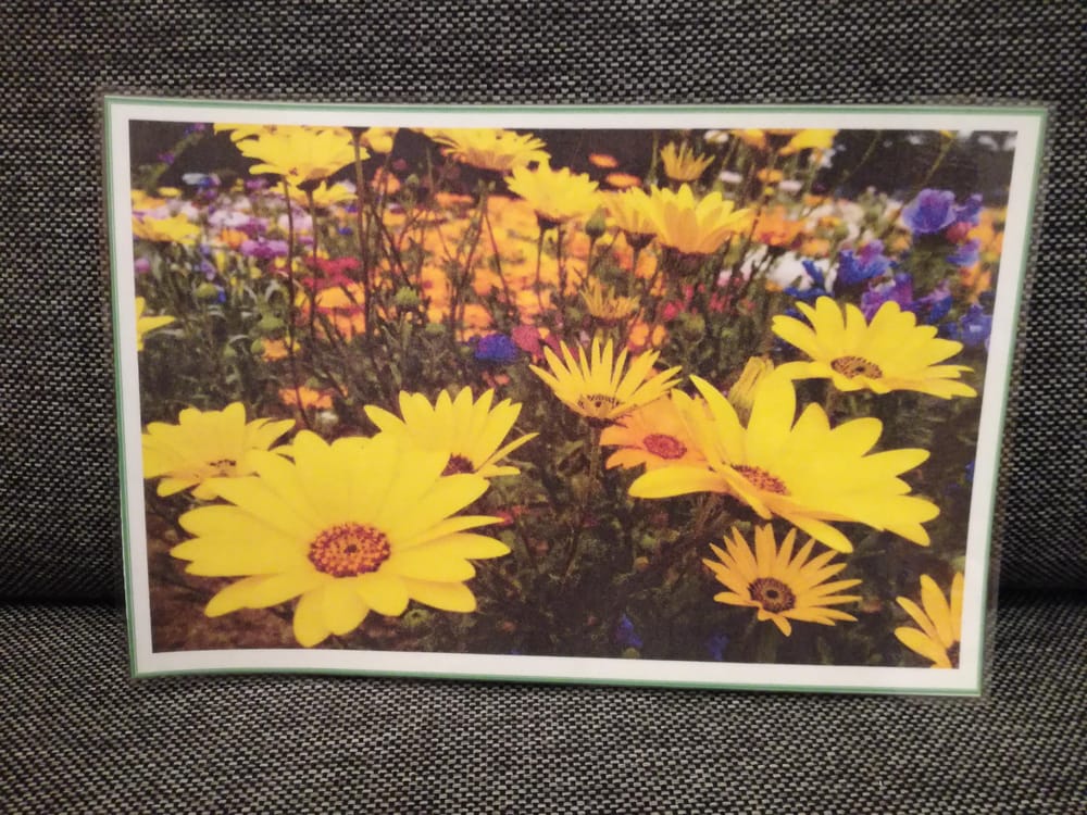 Die Blume - image 2 - student project