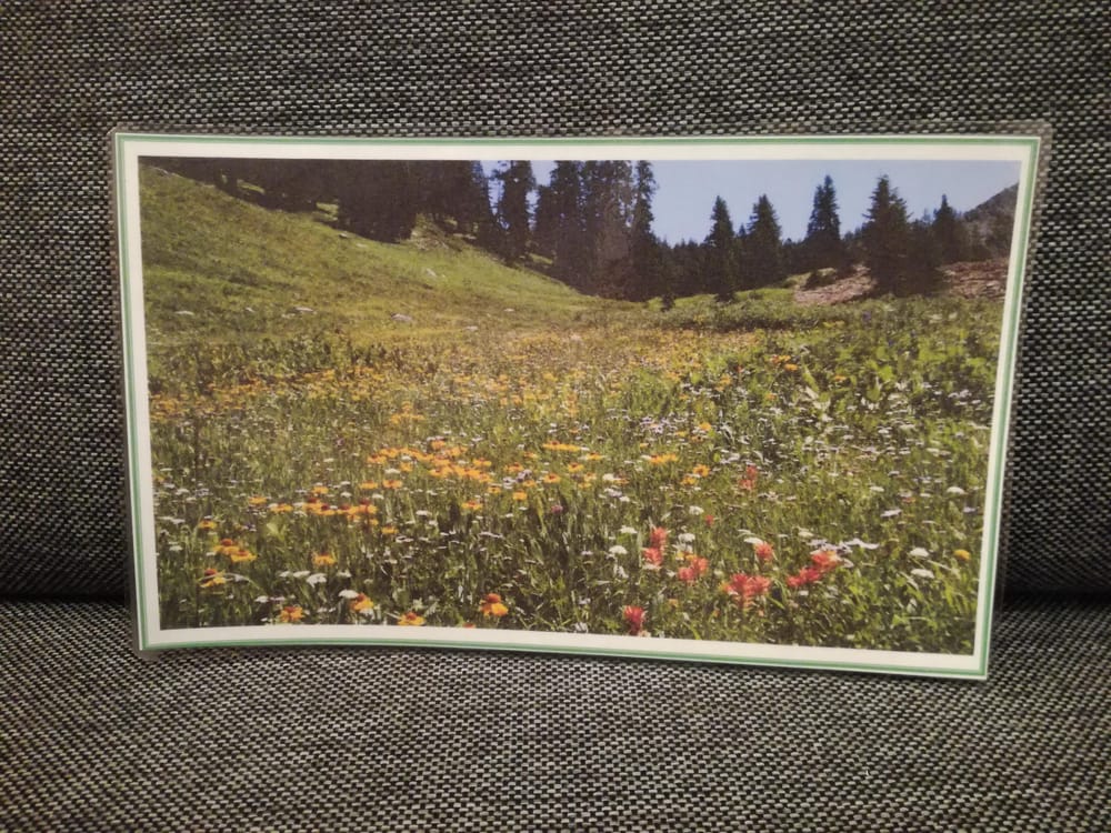 Die Blume - image 1 - student project